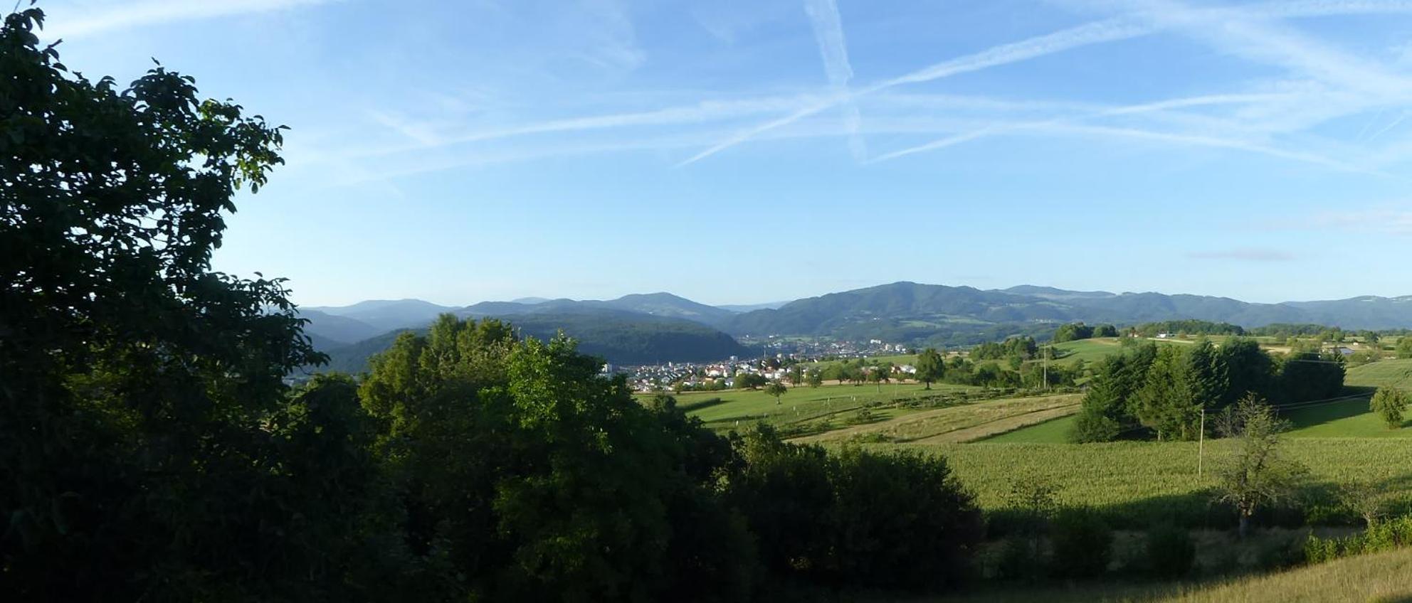 Hotel Hohe Flum Schopfheim Luaran gambar