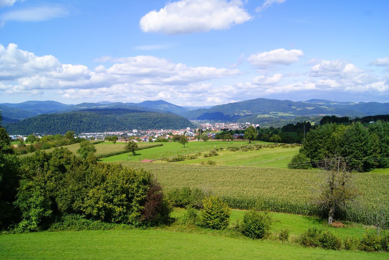 Hotel Hohe Flum Schopfheim Luaran gambar
